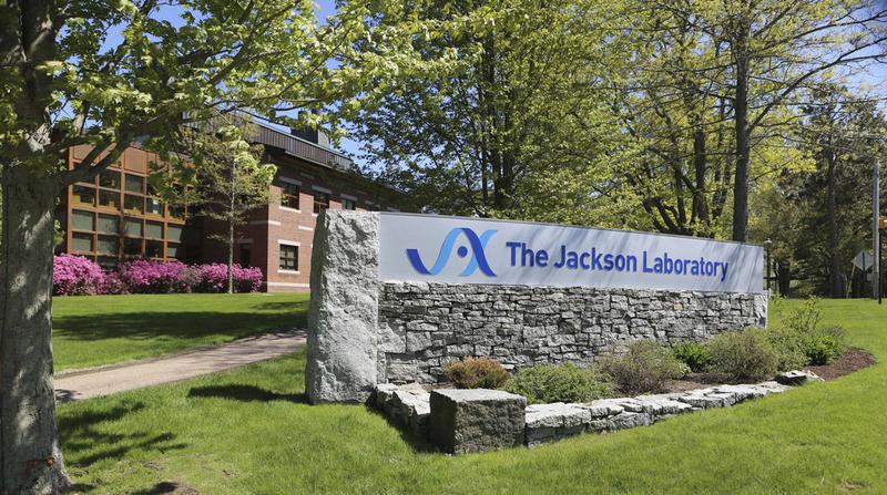 Jackson Laboratory Cancer Center